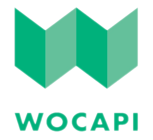 Wocapi - Digital Agency